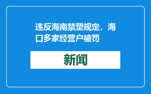 违反海南禁塑规定，海口多家经营户被罚