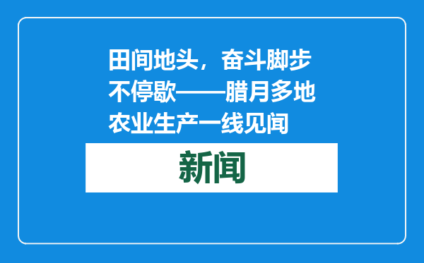 田间地头，奋斗脚步不停歇——腊月多地农业生产一线见闻