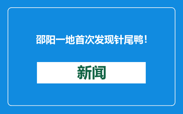 邵阳一地首次发现针尾鸭！