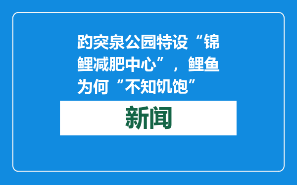 趵突泉公园特设“锦鲤减肥中心”，鲤鱼为何“不知饥饱”