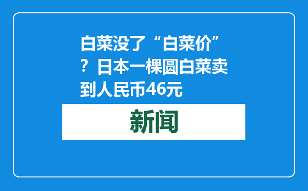 白菜没了“白菜价”？日本一棵圆白菜卖到人民币46元