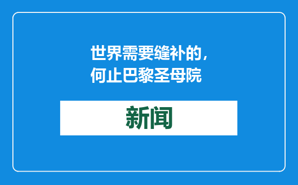 世界需要缝补的，何止巴黎圣母院