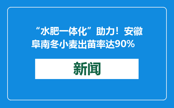 “水肥一体化”助力！安徽阜南冬小麦出苗率达90%