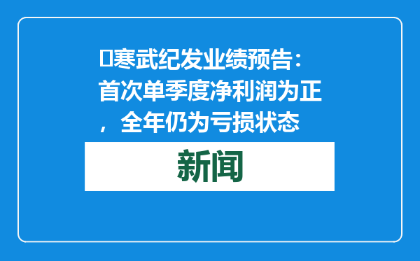 ​寒武纪发业绩预告：首次单季度净利润为正，全年仍为亏损状态