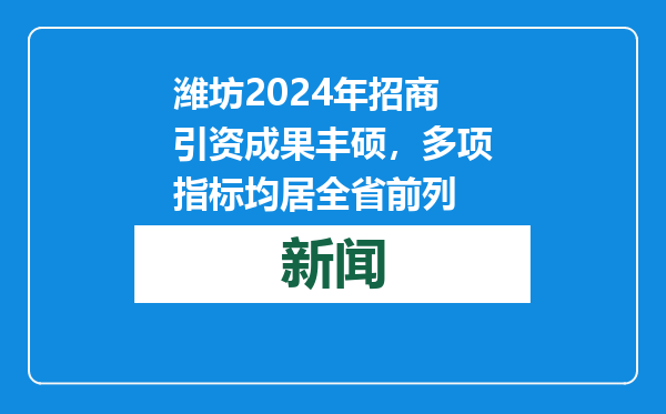 潍坊2024年招商引资成果丰硕，多项指标均居全省前列