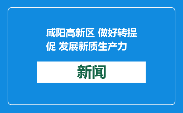 咸阳高新区 做好转提促 发展新质生产力