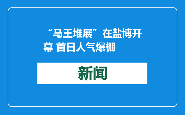 “马王堆展”在盐博开幕 首日人气爆棚