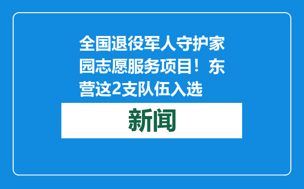 全国退役军人守护家园志愿服务项目！东营这2支队伍入选