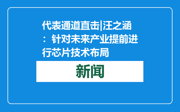 代表通道直击|汪之涵：针对未来产业提前进行芯片技术布局