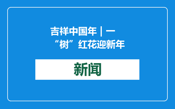 吉祥中国年 | 一“树”红花迎新年
