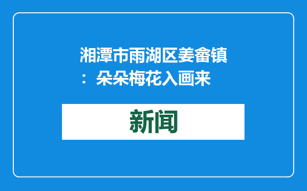 湘潭市雨湖区姜畲镇：朵朵梅花入画来