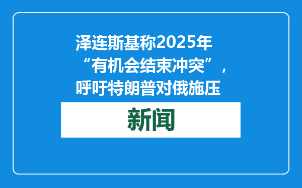 泽连斯基称2025年“有机会结束冲突”，呼吁特朗普对俄施压