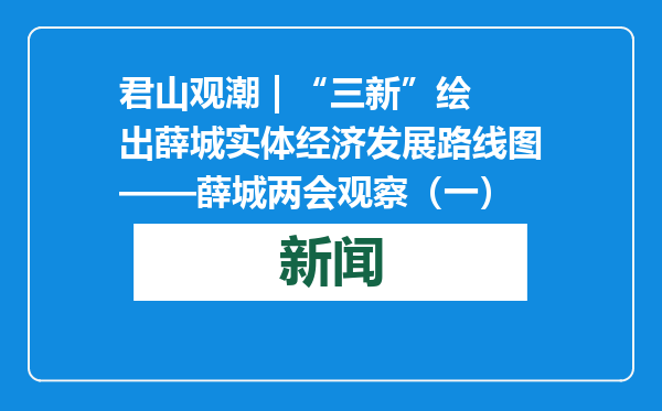 君山观潮 | “三新”绘出薛城实体经济发展路线图——薛城两会观察（一）
