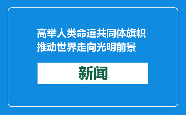 高举人类命运共同体旗帜 推动世界走向光明前景
