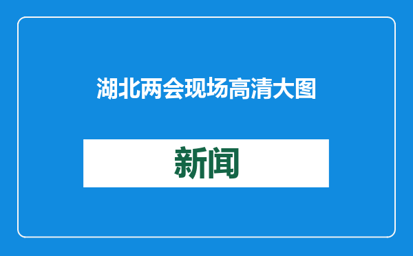 湖北两会现场高清大图