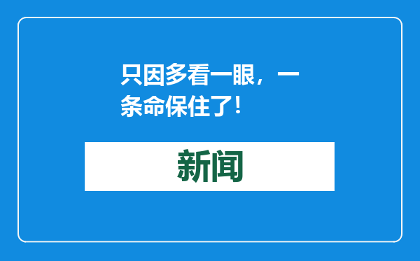 只因多看一眼，一条命保住了！