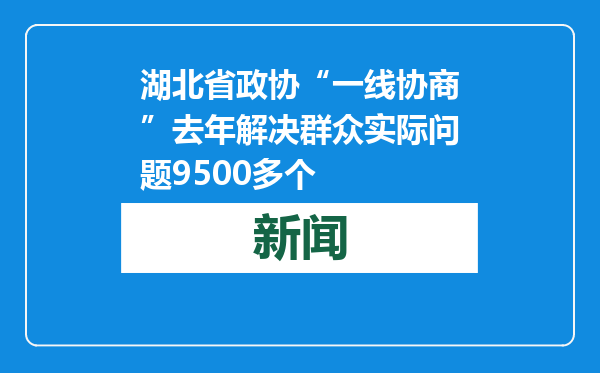 湖北省政协“一线协商”去年解决群众实际问题9500多个