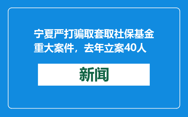 宁夏严打骗取套取社保基金重大案件，去年立案40人