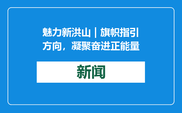 魅力新洪山 | 旗帜指引方向，凝聚奋进正能量