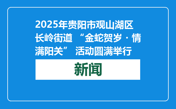 2025年贵阳市观山湖区长岭街道 “金蛇贺岁・情满阳关” 活动圆满举行