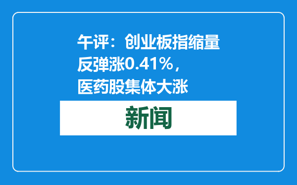 午评：创业板指缩量反弹涨0.41%，医药股集体大涨