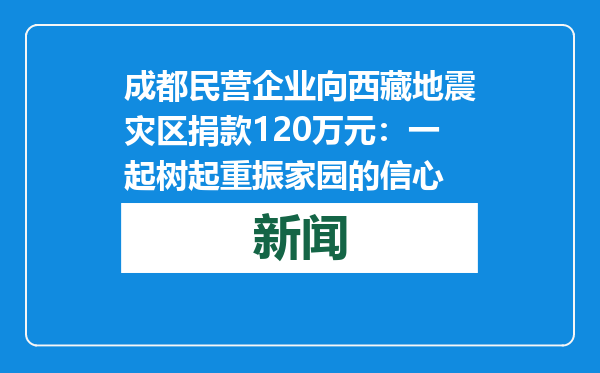 成都民营企业向西藏地震灾区捐款120万元：一起树起重振家园的信心