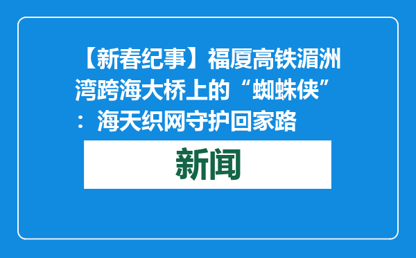 【新春纪事】福厦高铁湄洲湾跨海大桥上的“蜘蛛侠”：海天织网守护回家路