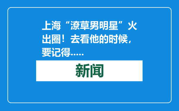 上海“潦草男明星”火出圈！去看他的时候，要记得.....