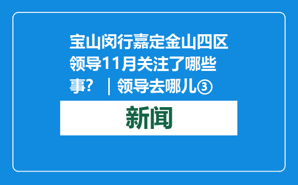 宝山闵行嘉定金山四区领导11月关注了哪些事？｜领导去哪儿③