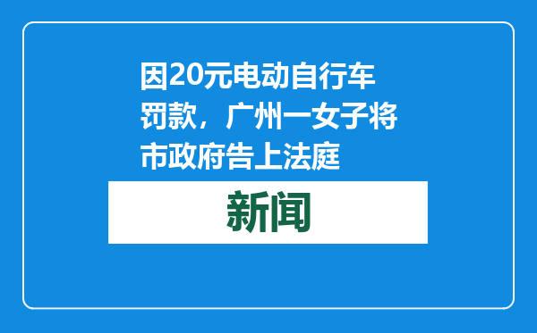 因20元电动自行车罚款，广州一女子将市政府告上法庭