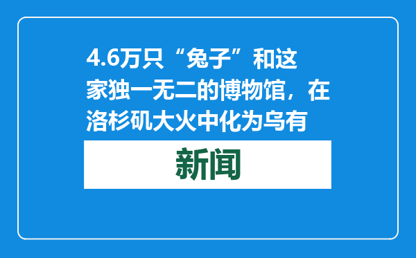 4.6万只“兔子”和这家独一无二的博物馆，在洛杉矶大火中化为乌有