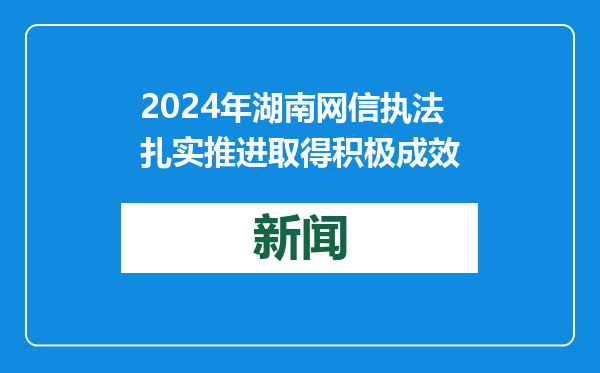 2024年湖南网信执法扎实推进取得积极成效