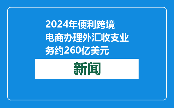 2024年便利跨境电商办理外汇收支业务约260亿美元