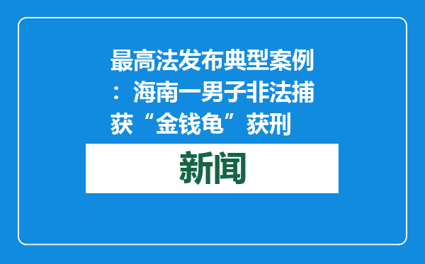 最高法发布典型案例：海南一男子非法捕获“金钱龟”获刑