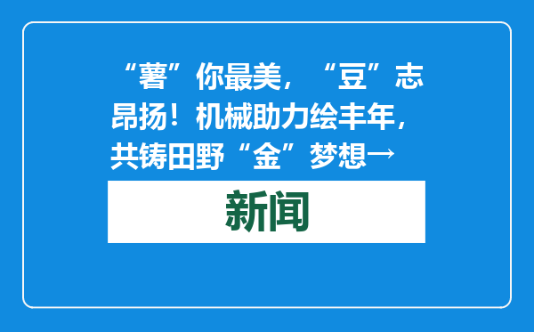 “薯”你最美，“豆”志昂扬！机械助力绘丰年，共铸田野“金”梦想→