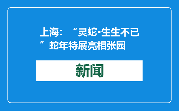 上海：“灵蛇·生生不已”蛇年特展亮相张园