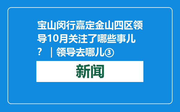宝山闵行嘉定金山四区领导10月关注了哪些事儿？｜领导去哪儿③