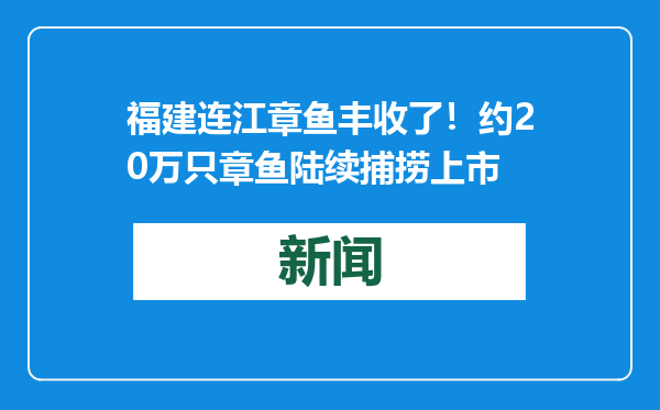 福建连江章鱼丰收了！约20万只章鱼陆续捕捞上市