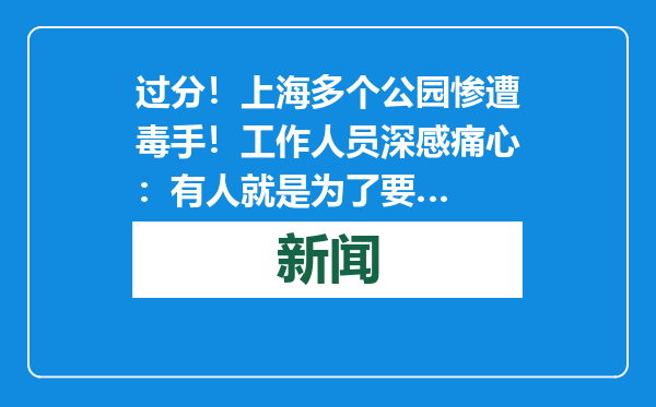 过分！上海多个公园惨遭毒手！工作人员深感痛心：有人就是为了要…