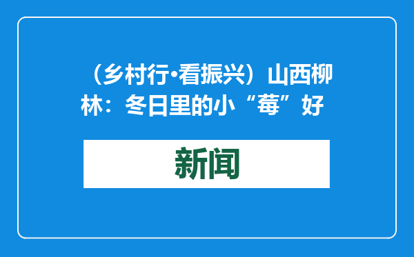 （乡村行·看振兴）山西柳林：冬日里的小“莓”好