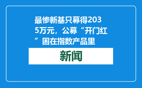 最惨新基只募得2035万元，公募“开门红”困在指数产品里