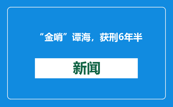 “金哨”谭海，获刑6年半