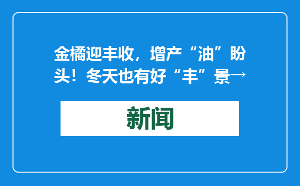 金橘迎丰收，增产“油”盼头！冬天也有好“丰”景→