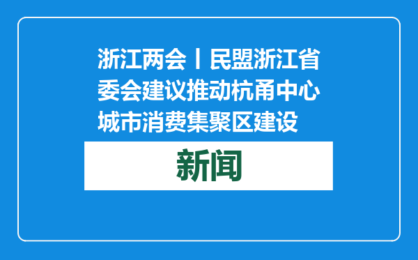 浙江两会丨民盟浙江省委会建议推动杭甬中心城市消费集聚区建设