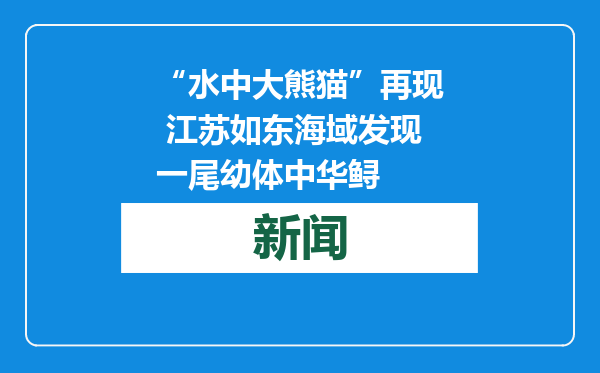 “水中大熊猫”再现 江苏如东海域发现一尾幼体中华鲟