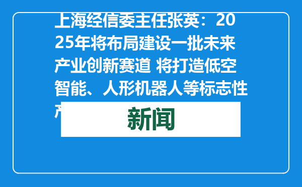 上海经信委主任张英：2025年将布局建设一批未来产业创新赛道 将打造低空智能、人形机器人等标志性产品