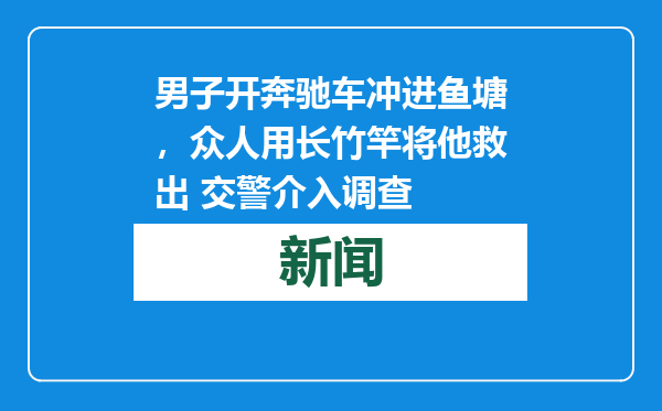 男子开奔驰车冲进鱼塘，众人用长竹竿将他救出 交警介入调查