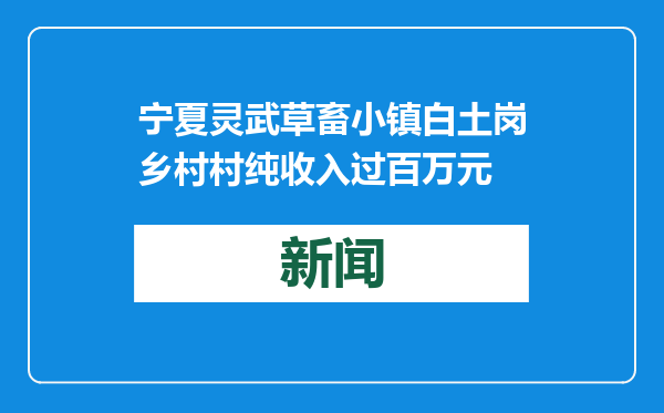 宁夏灵武草畜小镇白土岗乡村村纯收入过百万元