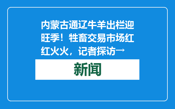 内蒙古通辽牛羊出栏迎旺季！牲畜交易市场红红火火，记者探访→