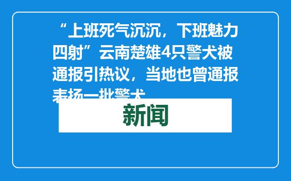 “上班死气沉沉，下班魅力四射”云南楚雄4只警犬被通报引热议，当地也曾通报表扬一批警犬